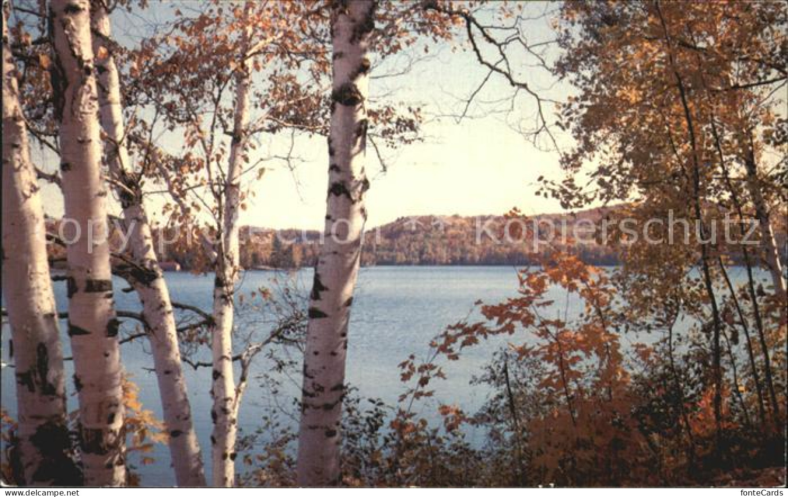 Muskoka Lakes Lake of Bays at autumn