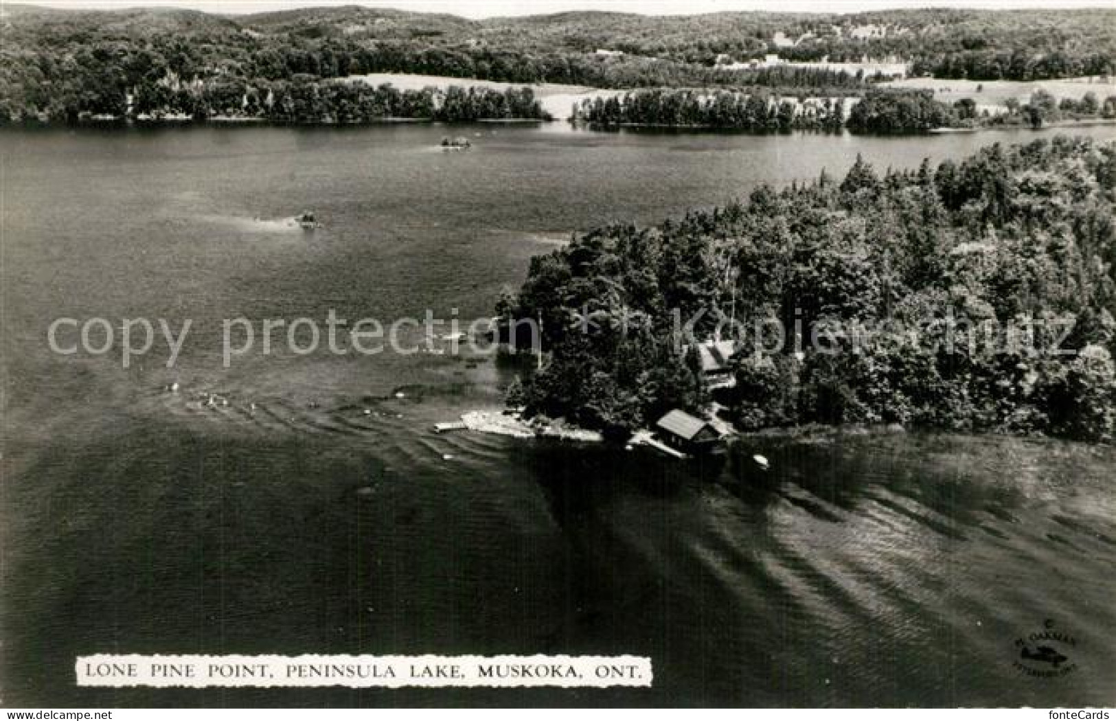 Muskoka Lakes Peninssula Lake Lone Pine Point
