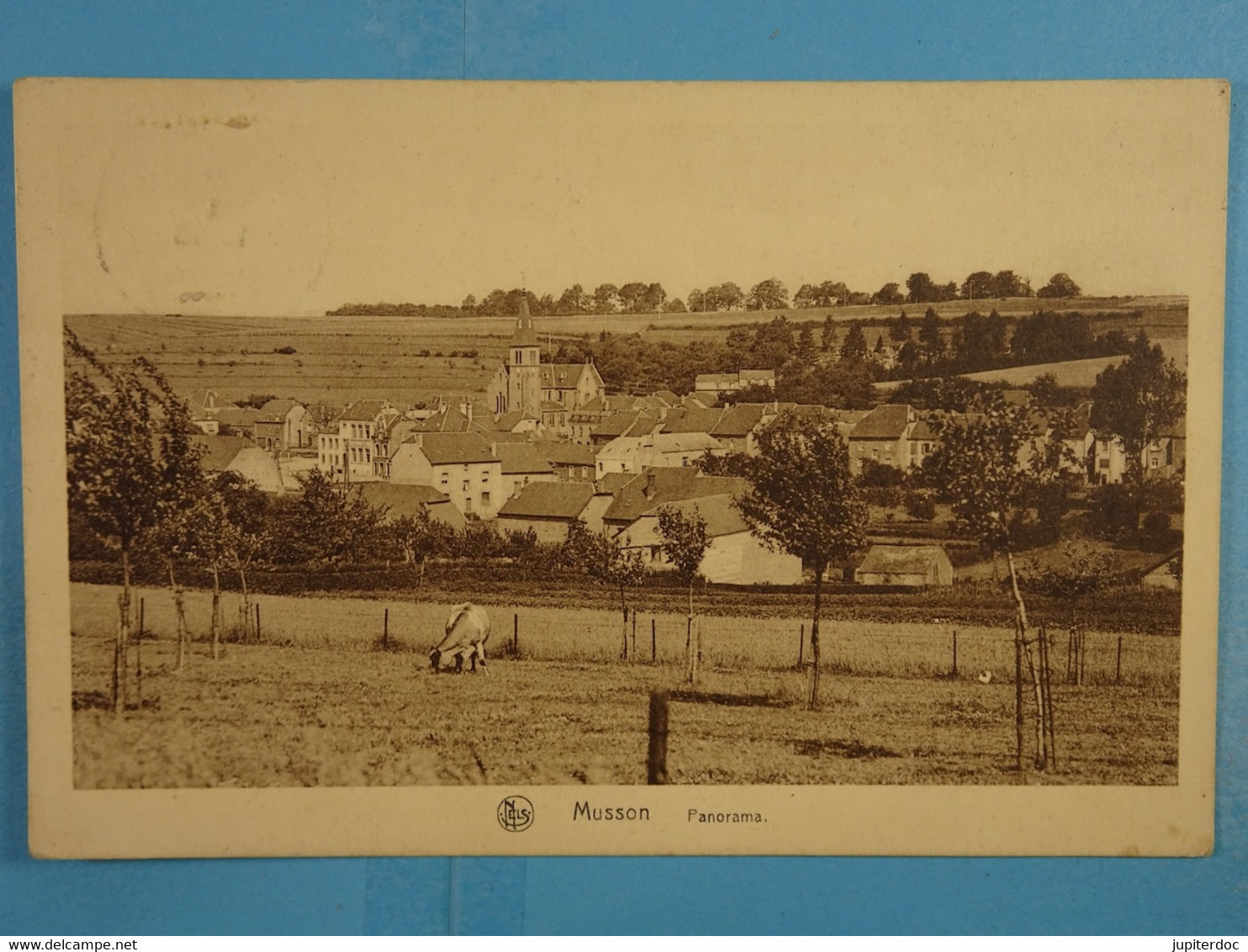 Musson Panorama