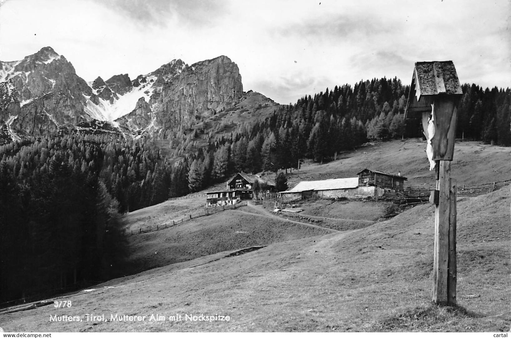 MUTTERS - Tirol - Mutterer Aim mit Nockspitze