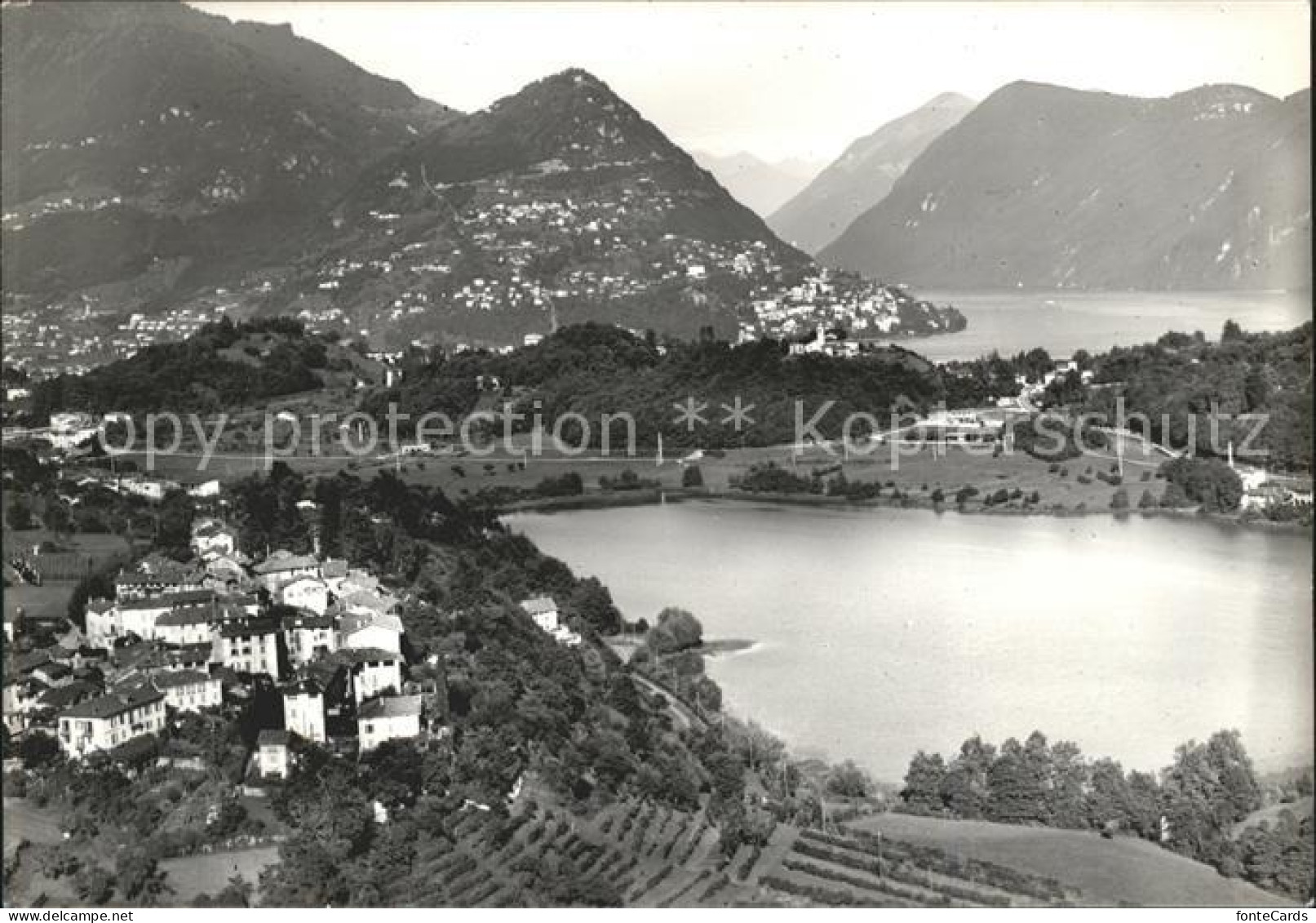 Muzzano Lago di Muzzano Aerofoto