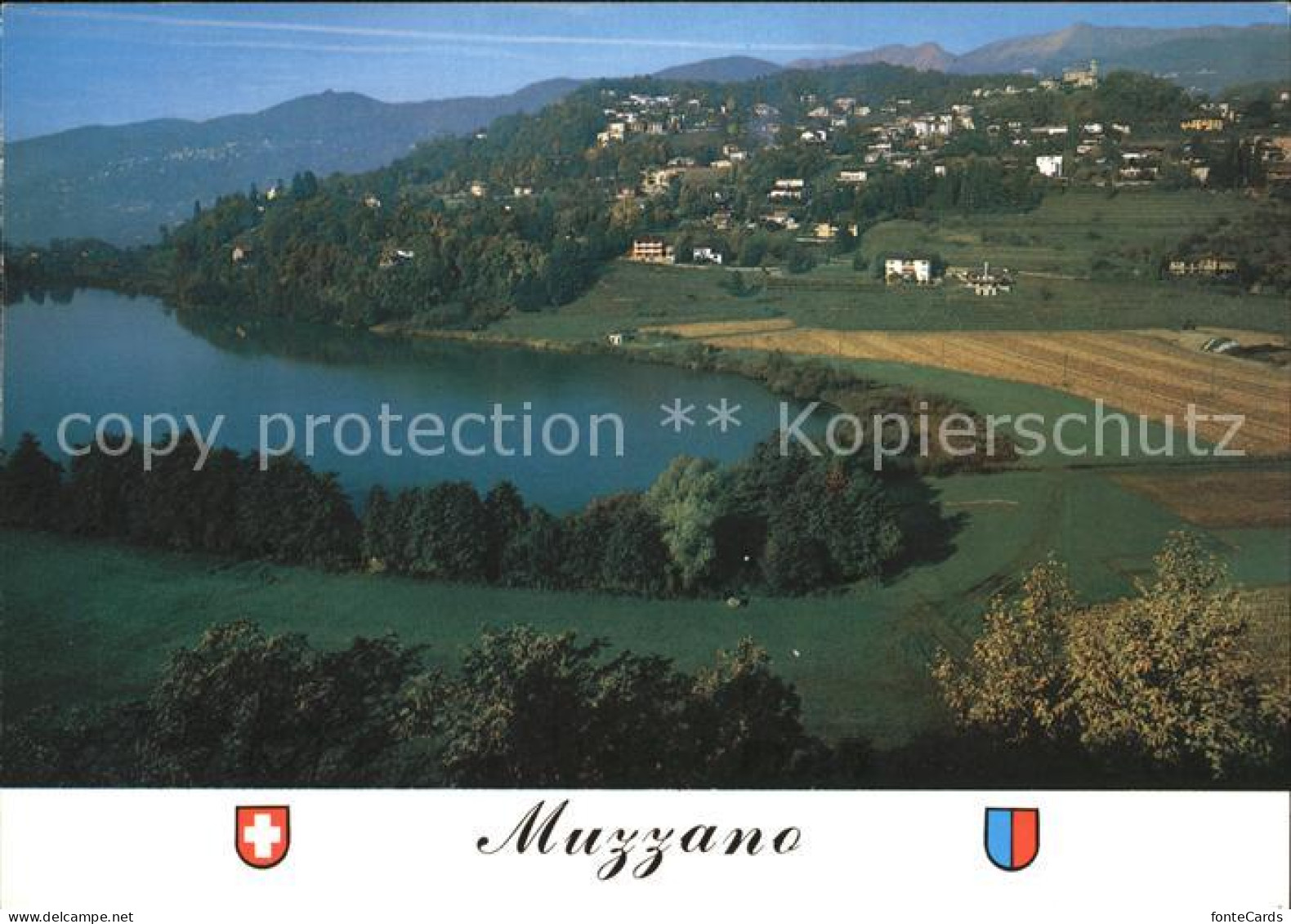 Muzzano Panorama