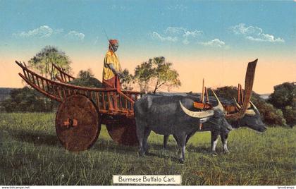 L227 Burma Myanmar burmese buffalo cart vintage postcard