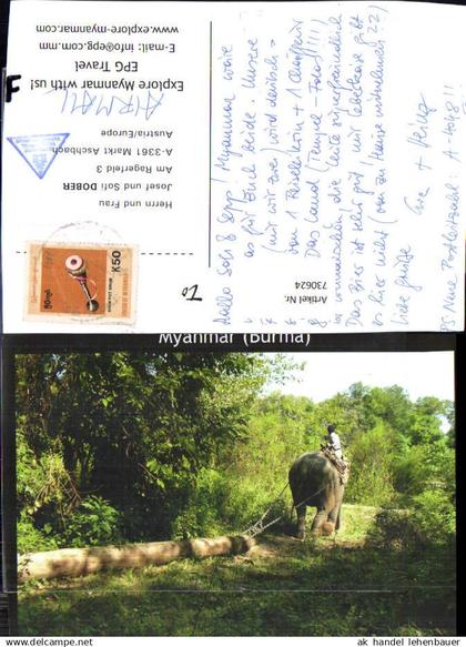730624 Großformat AK Birma Myanmar Burma Working Elephant Phoe Kyar Camp Elefant
