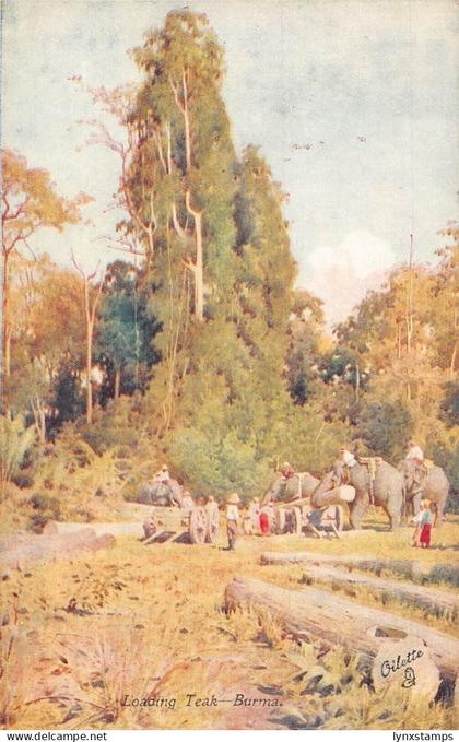 L255 Burma Myanmar Loading Teak Elephants postcard