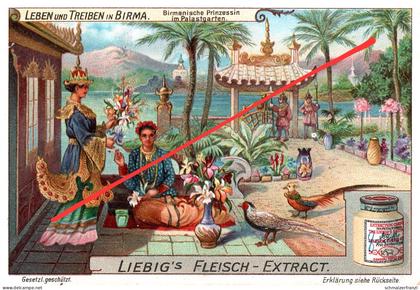 Litho Sammelbild Serienbild Leben und Treiben in Birma Burma Myanmar Prinzessin Liebig s Fleisch Extract Extrakt Oxo
