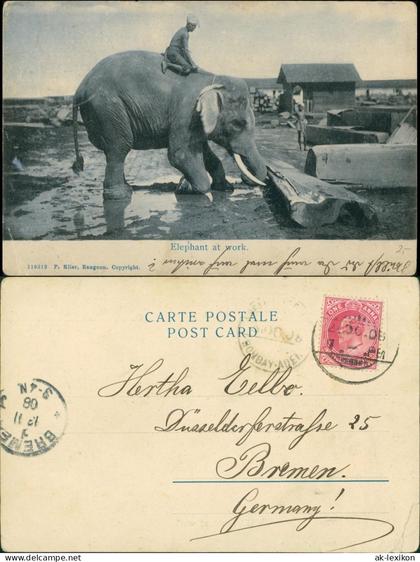 Postcard Myanmar Elefant bei der Arbeit, Elephant at work 1908