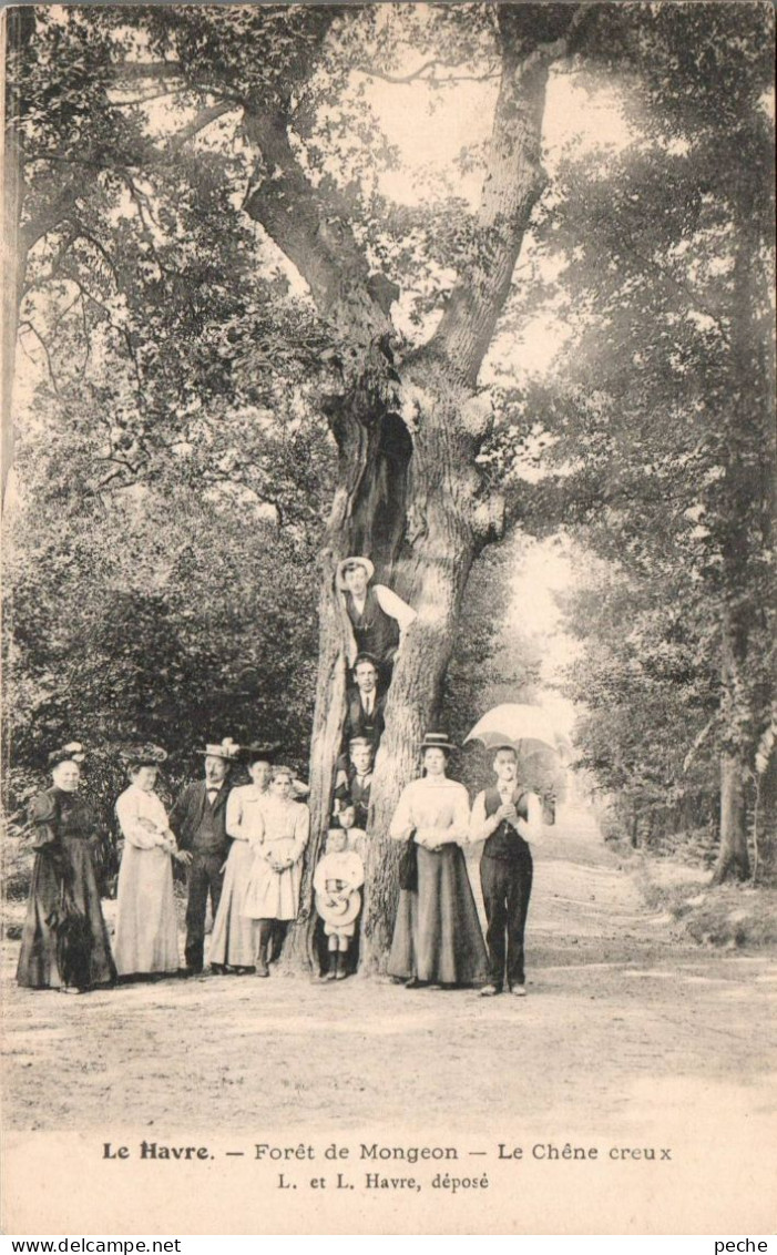 N°122697 -cpa Le Havre -forêt de Montgeon -le chêne creux-