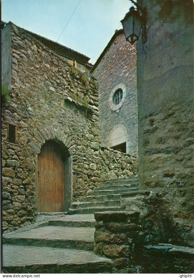 N°124283 -cpsm Amelie les Bains -Palalda-