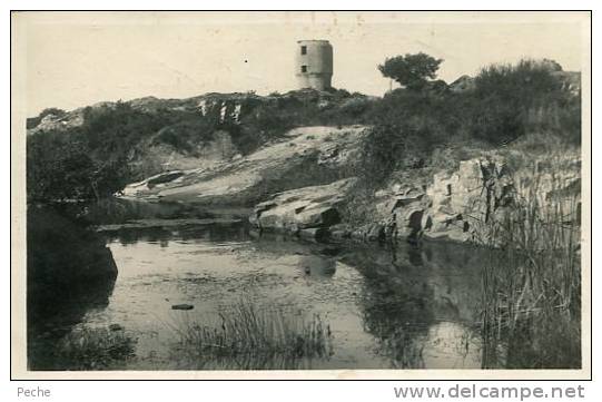 N°19047 -cpsm Herbignac -carrière des Moulins-