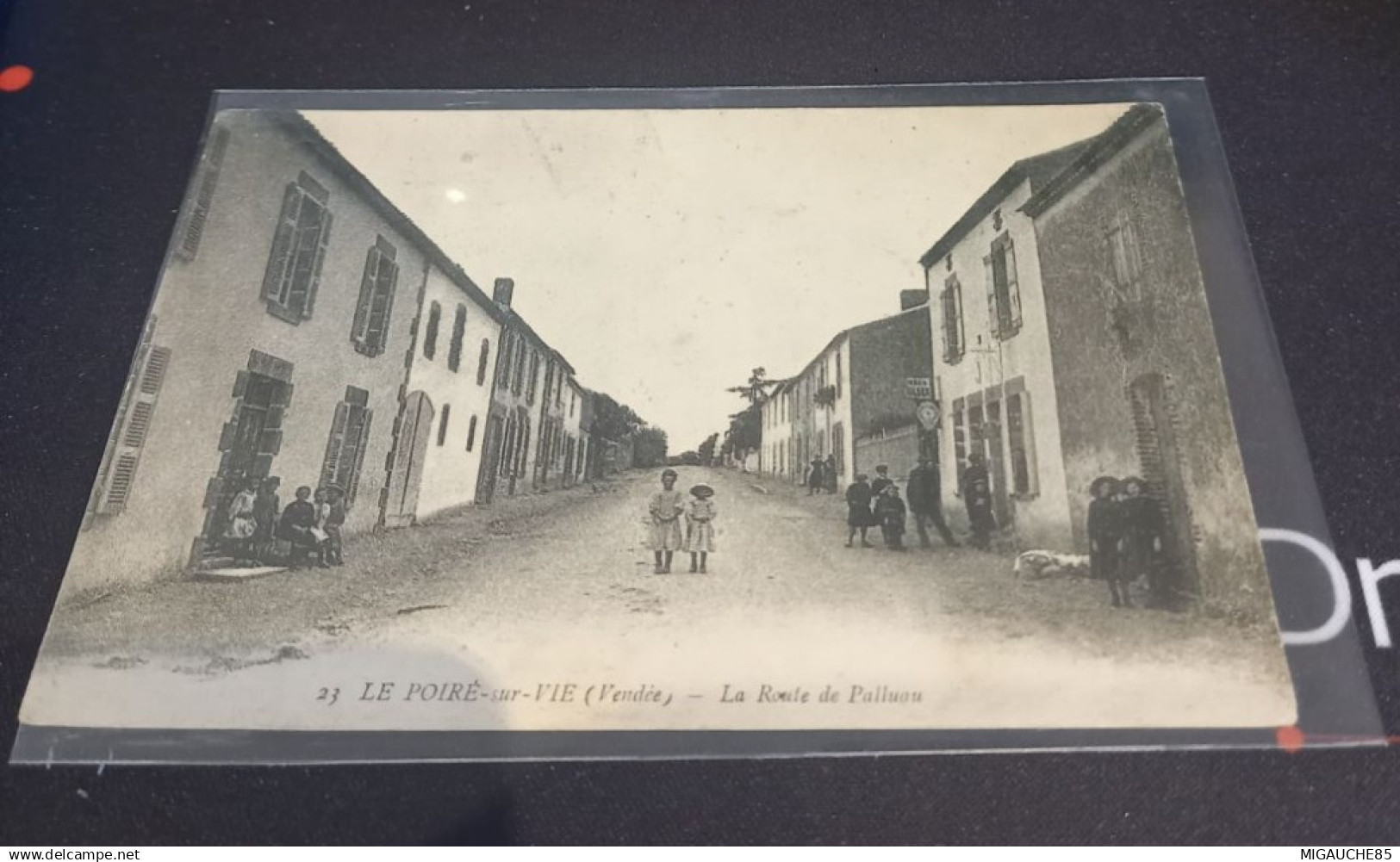 N 23  LE POIRE SUR  VIE   la route de PALLUAU