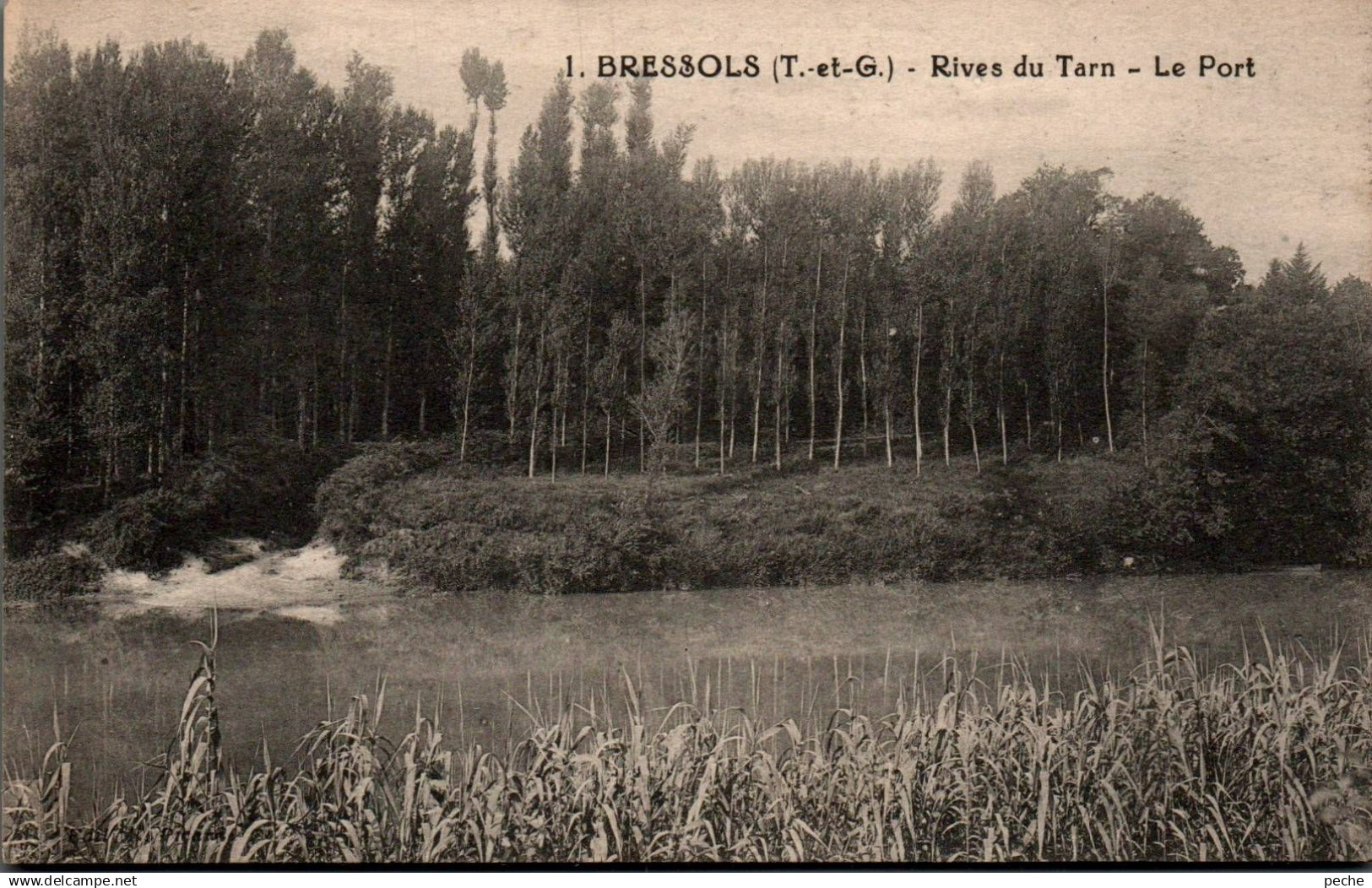 N°23718 W -cpa Bressols -rive du Tarn -le port-