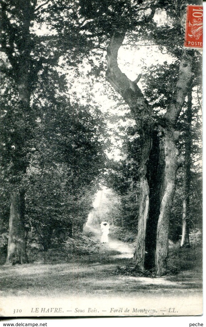 N°69486 -cpa Le Havre -sous bois -forêt de Montgeon-