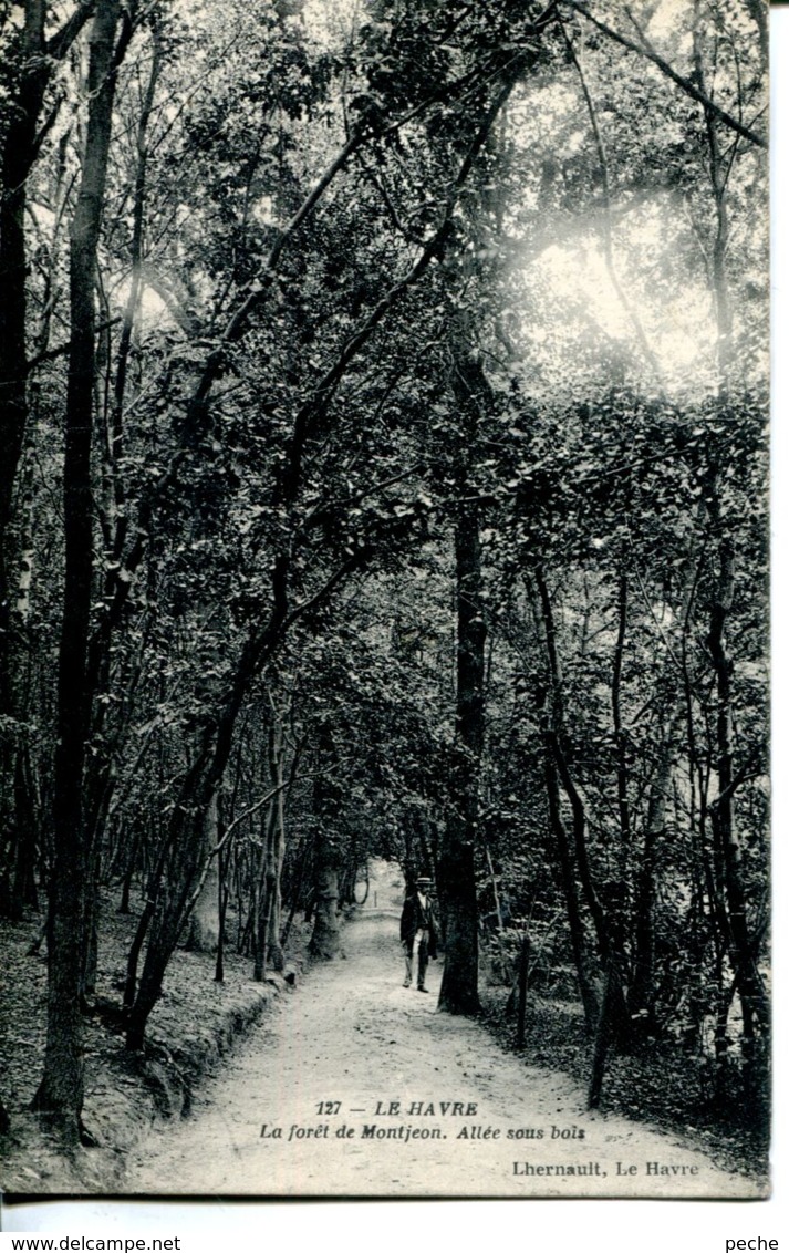 N°69489 -cpa Le Havre -forêt de Montgeon-