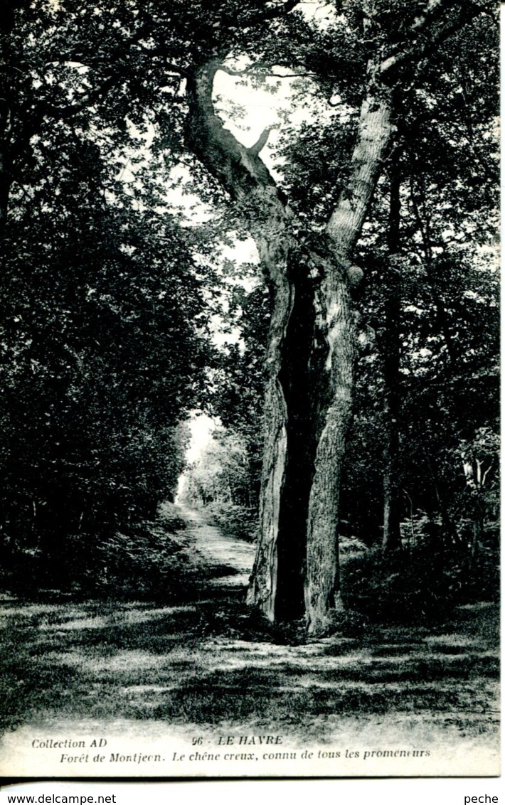 N°69536 -cpa Le Havre -forêt de Montgeon-