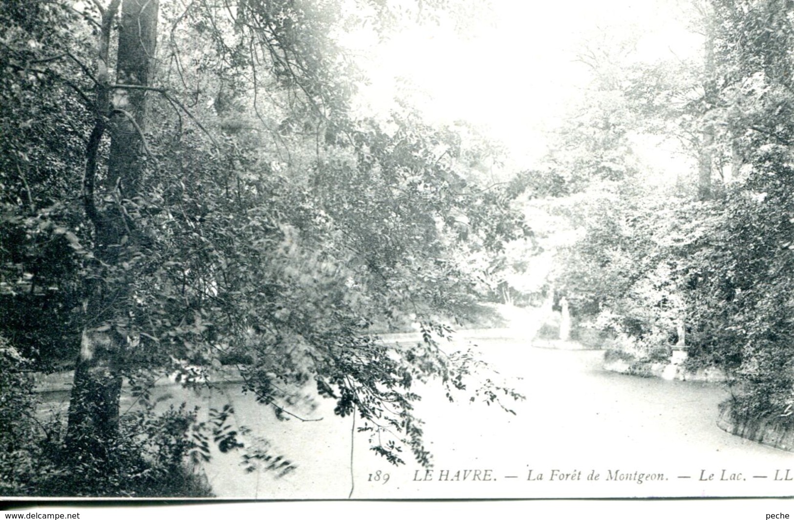 N°69563 -cpa Le Havre -forêt de Montgeon-
