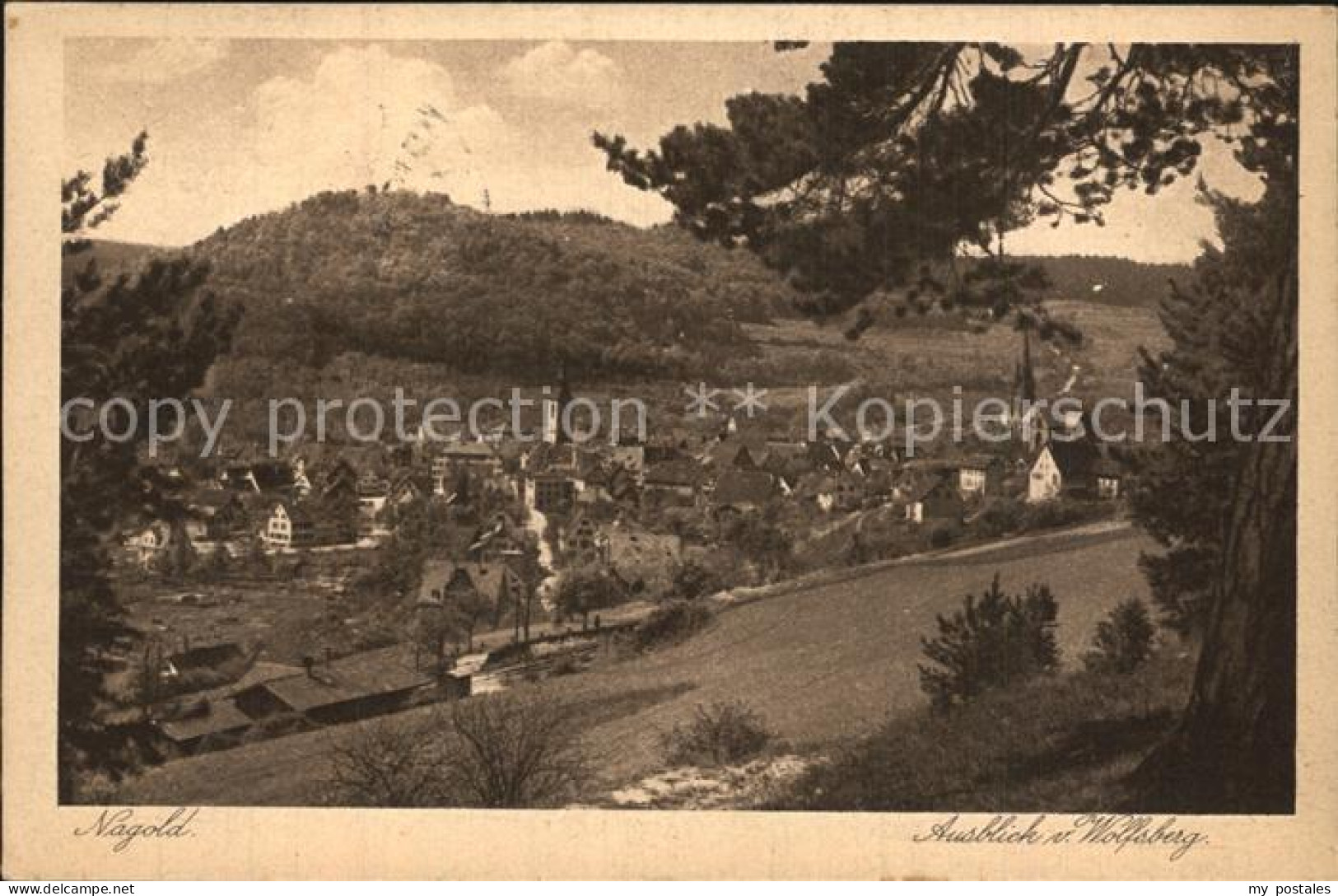 Nagold Blick vomWolfsberg