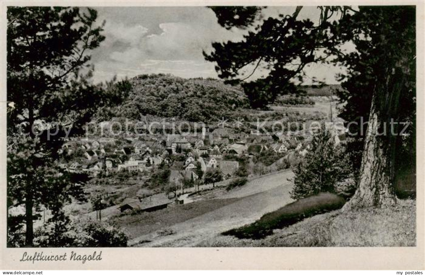 Nagold Panorama