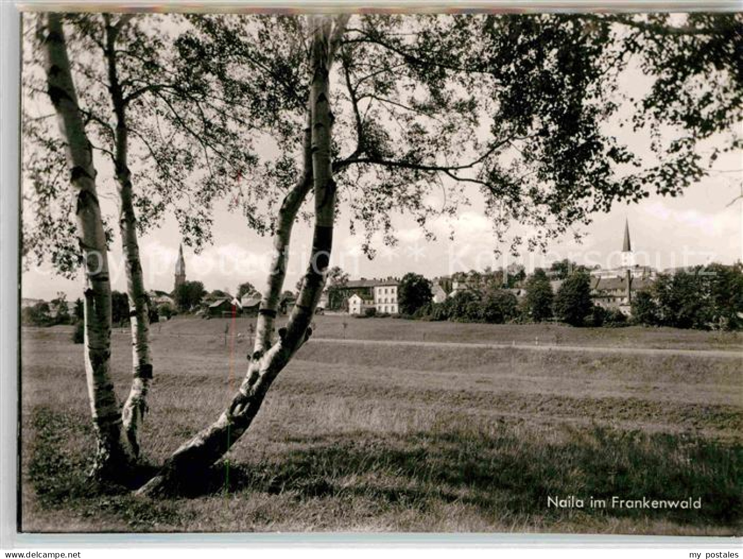 Naila Panorama