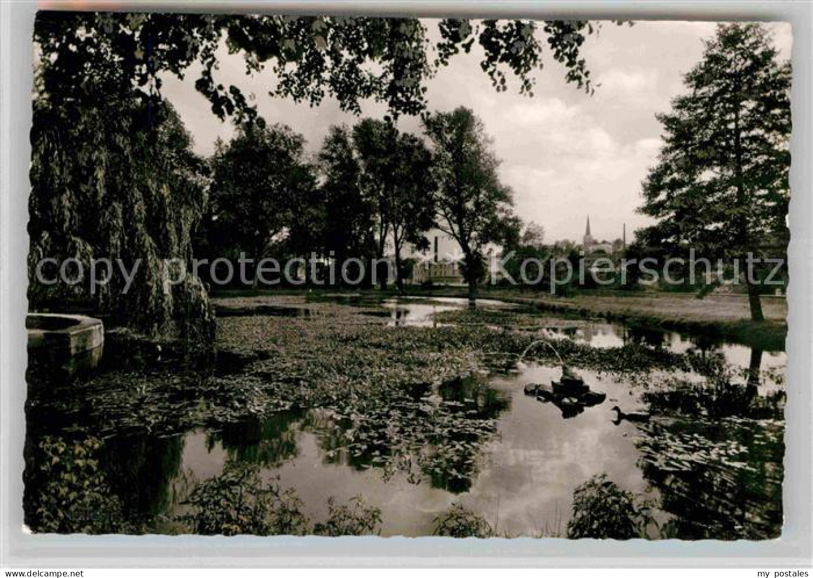 Naila Park Teich