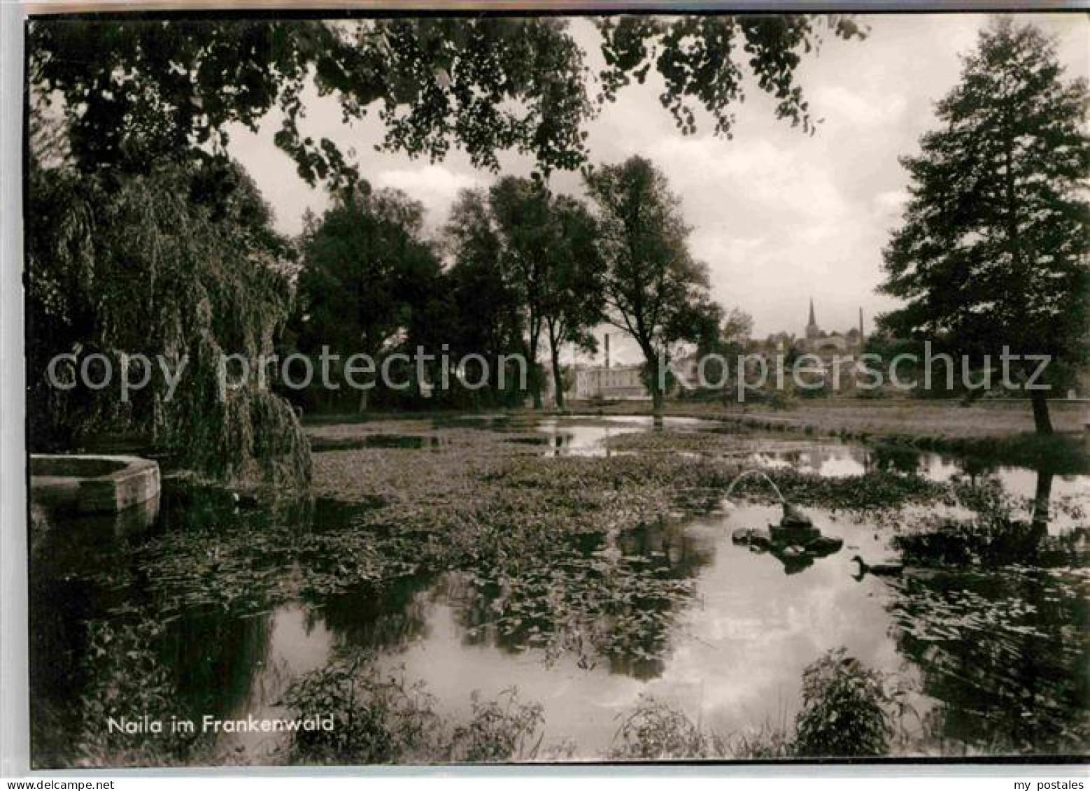 Naila Park Teich