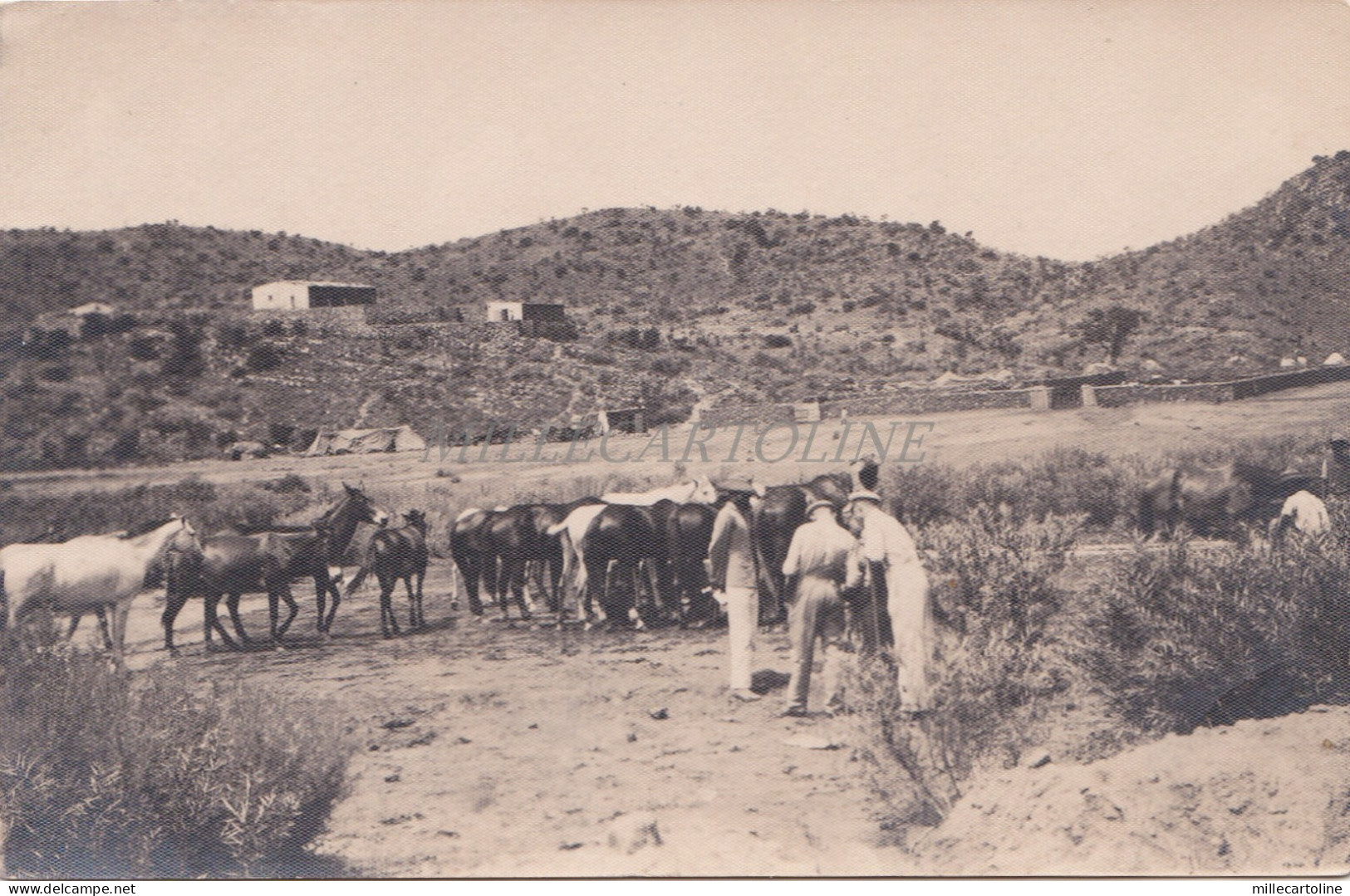 NAMIBIA - Atelier NINK - Windhoek 2