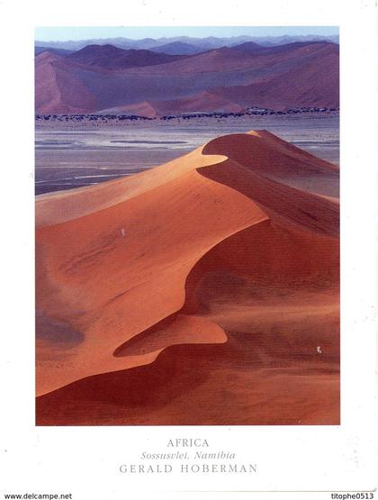 NAMIBIE. Carte postale écrite. Désert du Namib.