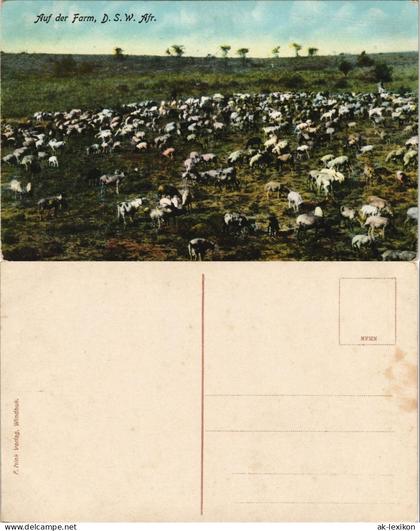Postcard .Namibia Deutsch-Südwestafrika DSWA Farm Kolonie 1909