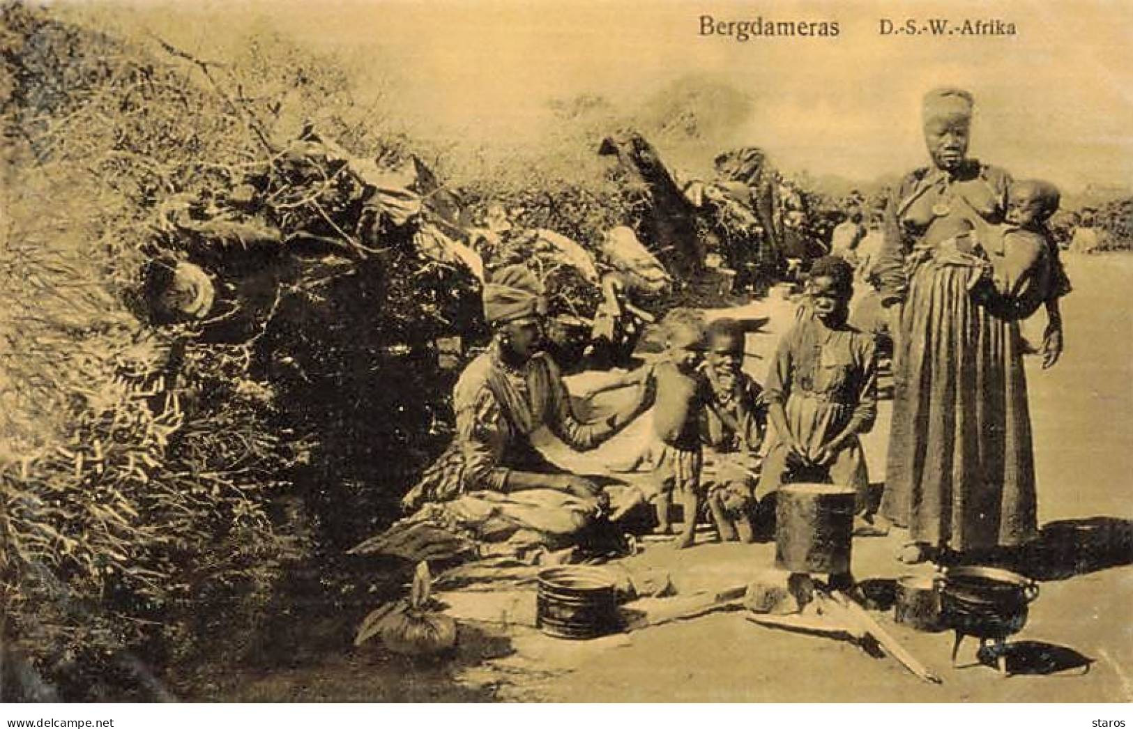 Namibie - Bergdameras - D.S.W. Afrika