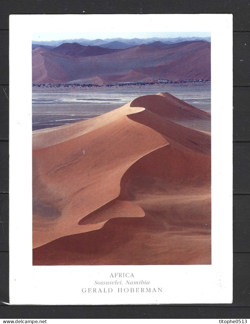 NAMIBIE. Carte postale écrite. Désert du Namib.