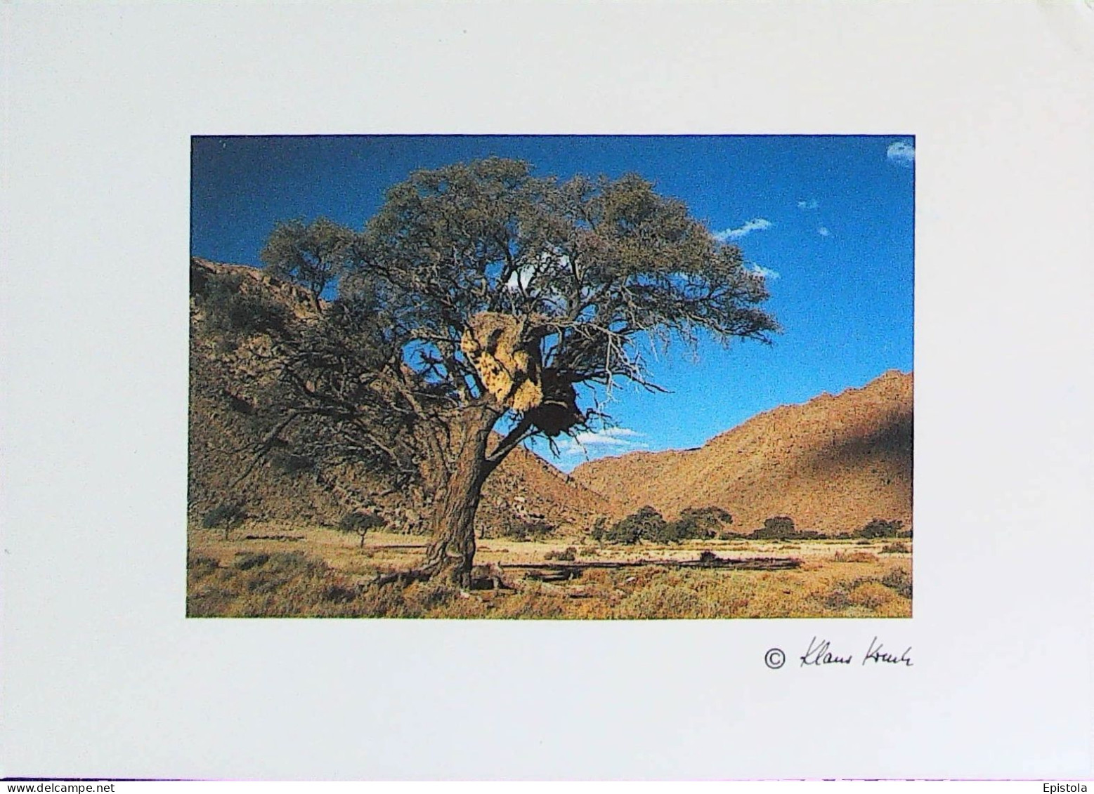 ►    Namibie  foto Klaus Kreutz