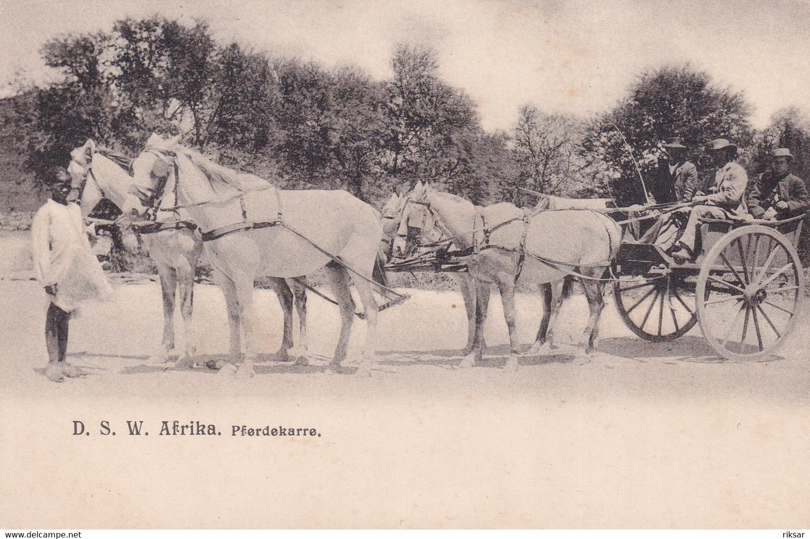 NAMIBIE(PFERDEKARRE)