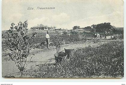 Namibie - Otto Frauenstein