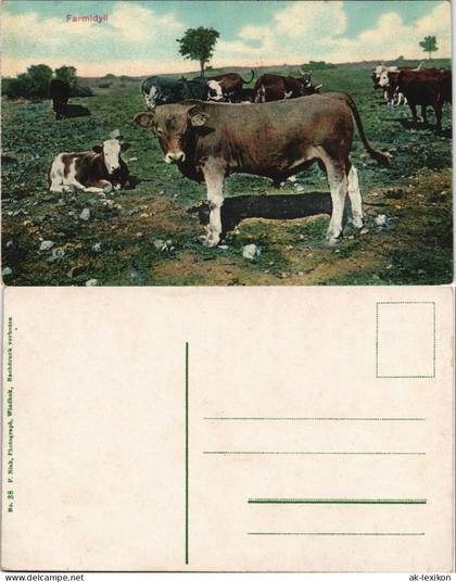 Postcard .Namibia Farmidyll Deutsch-Südwestafrika DSWA Kolonie 1908