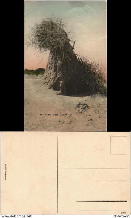 Postcard .Namibia Termiten Hügel Deutsch-Südwestafrika DSWA 1912