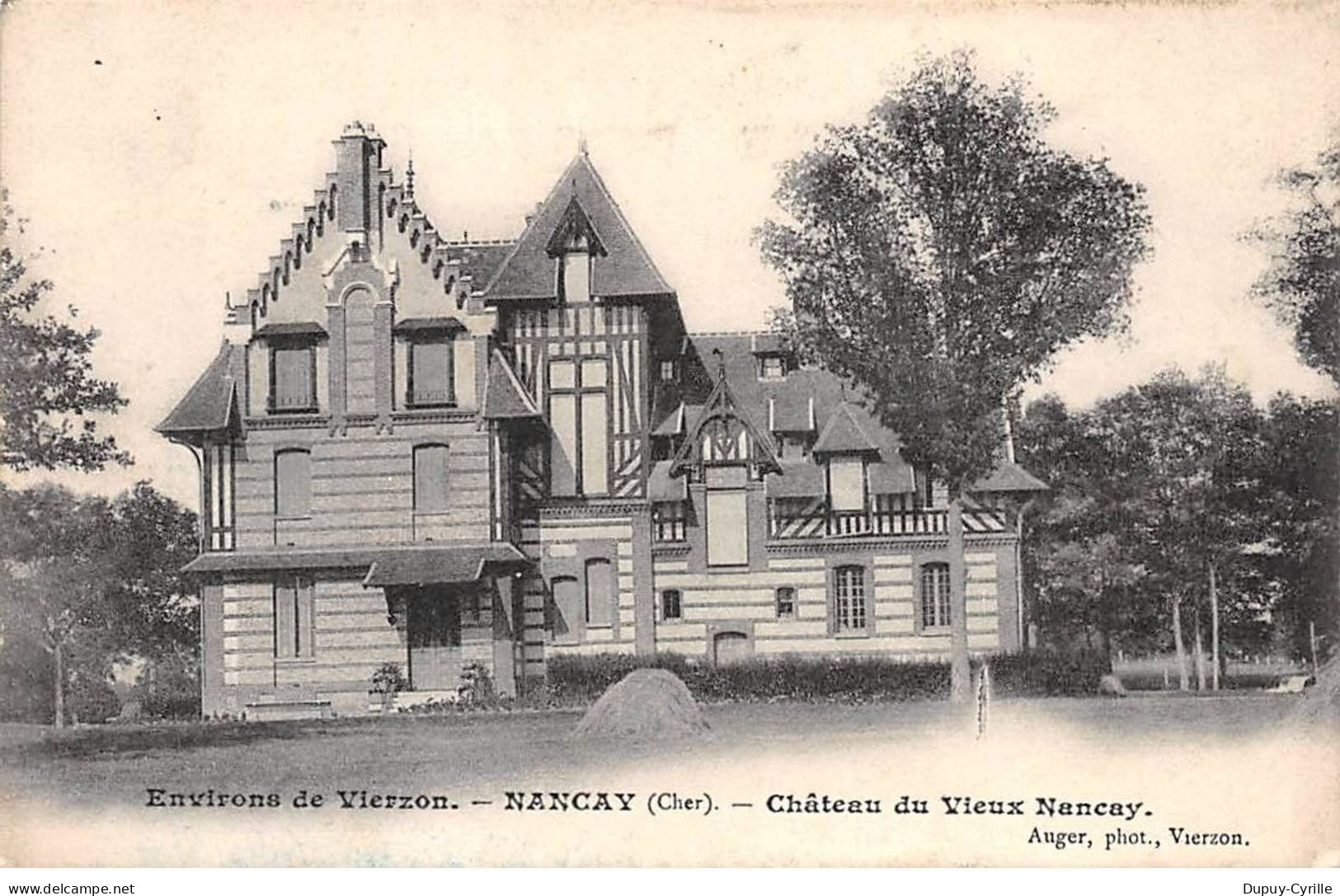 NANCAY - Château du Vieux Nançay - très bon état