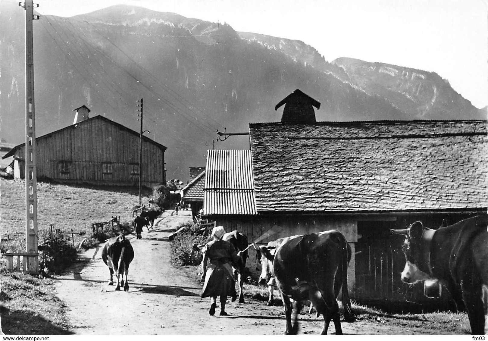 Nancy sur Cluses Romme canton Scionzier vaches