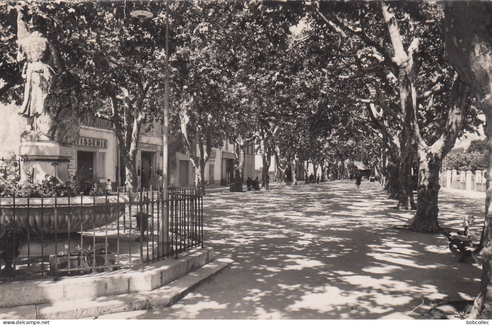 NANS-les-PINS (Var): Le Cours