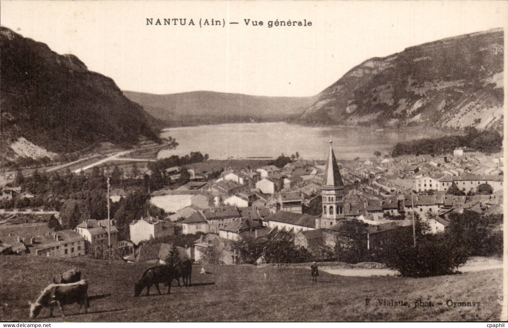 Nantua - Vue Generale - CPA