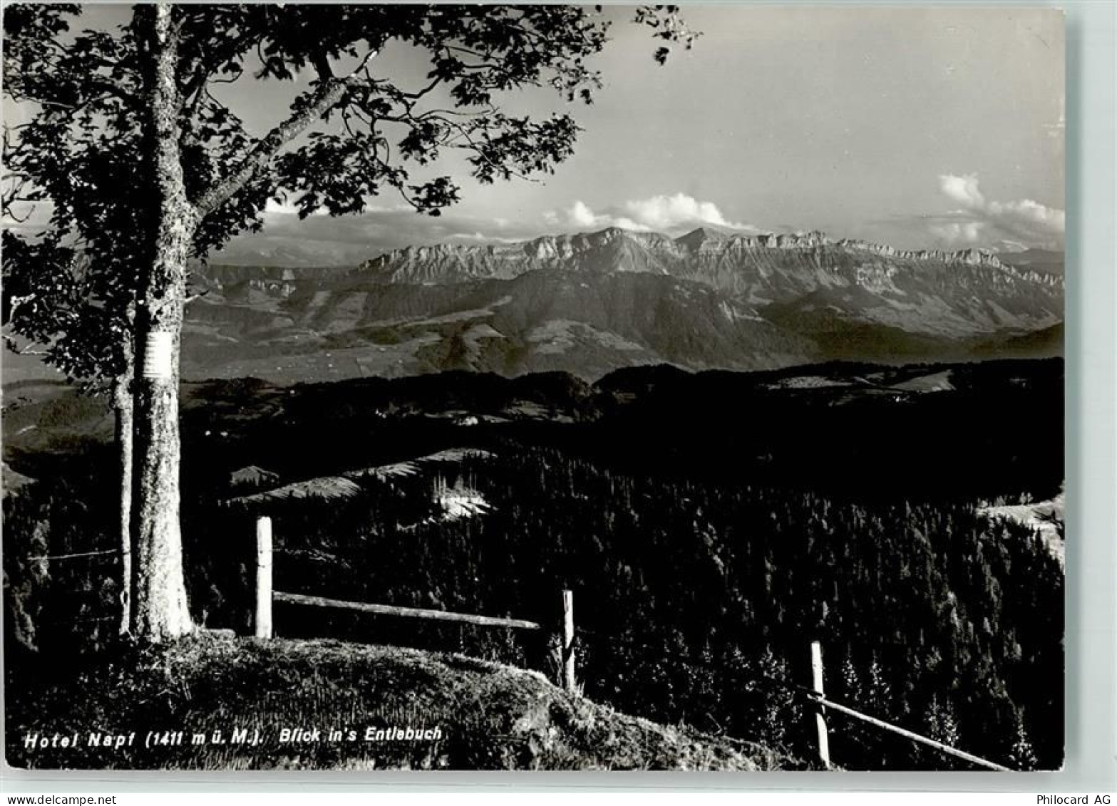 Napf - Entlebuch Hotel - 39494695