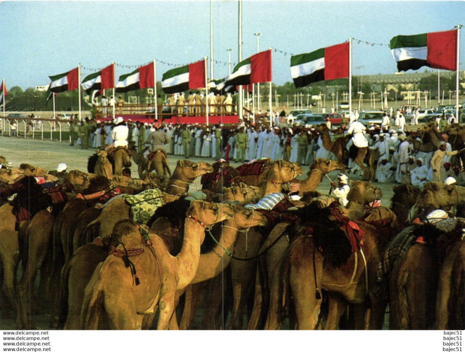 National Folklore - Course de chameaux "animés"