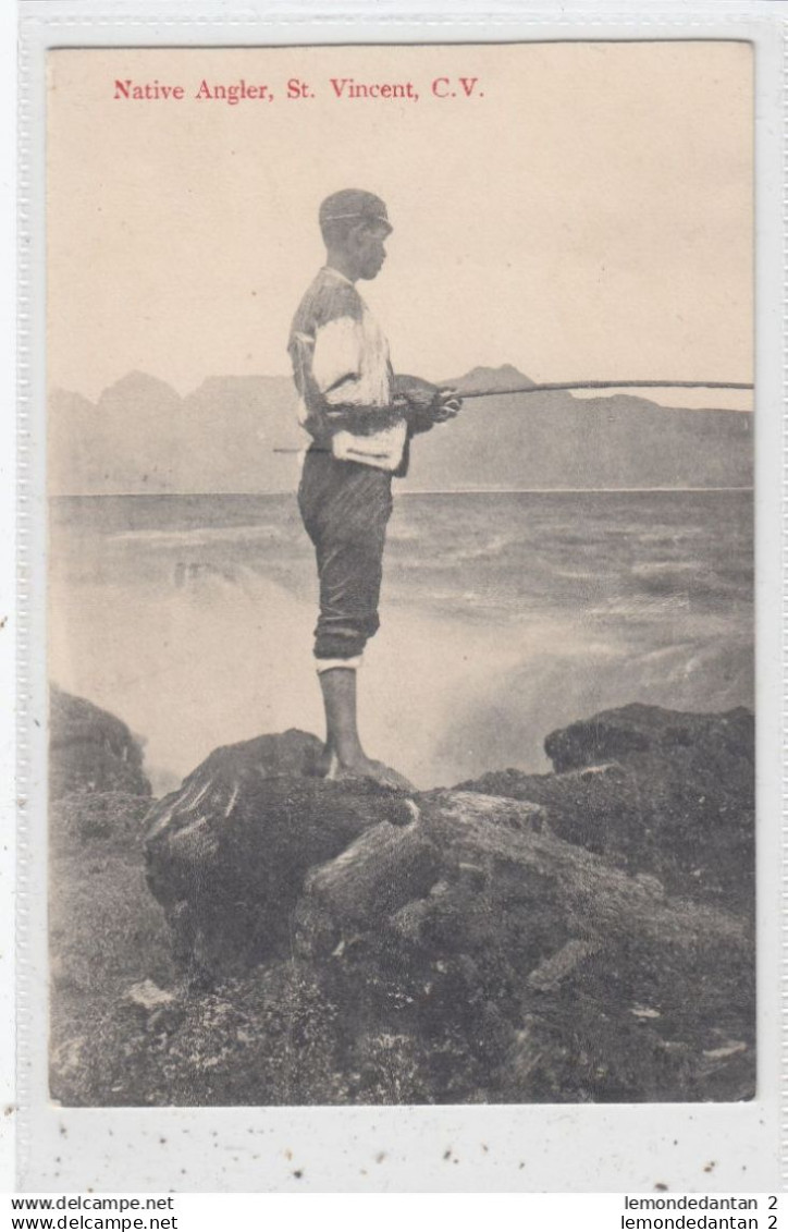 Native Angler. St. Vincent, C.V.*