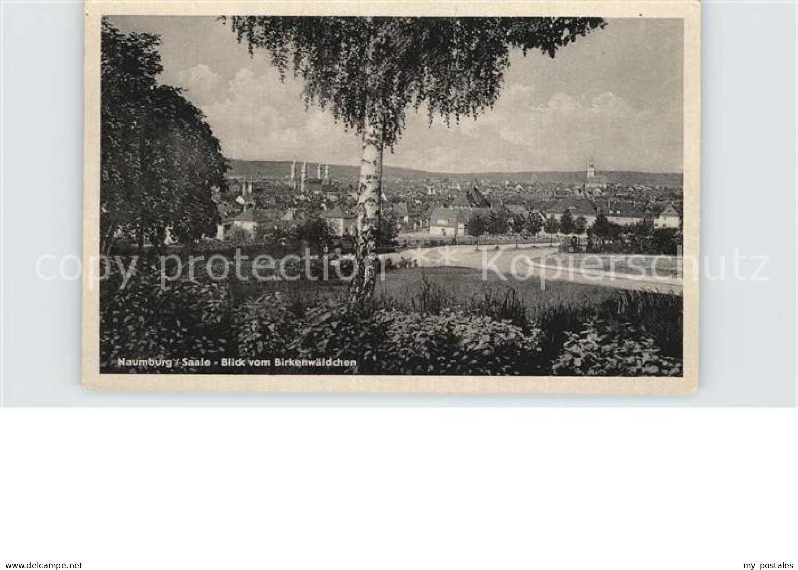 Naumburg Saale Birkenwaeldchen