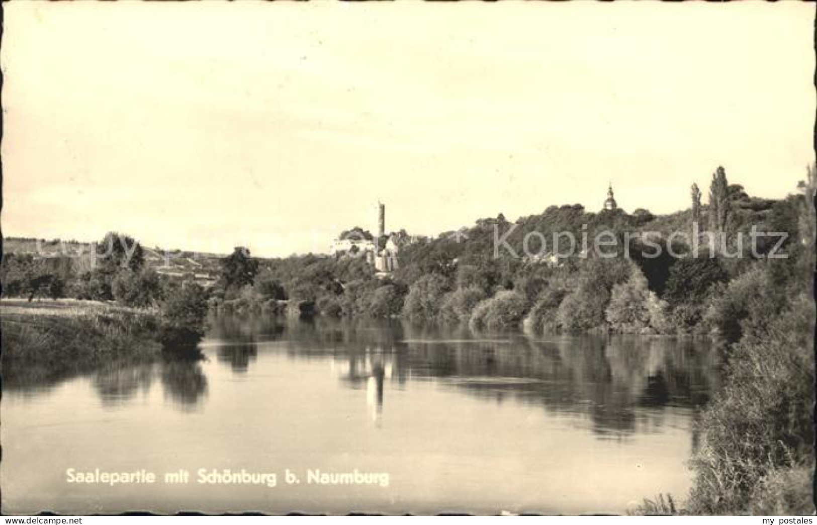Naumburg Saale mit Saale und Schoenburg