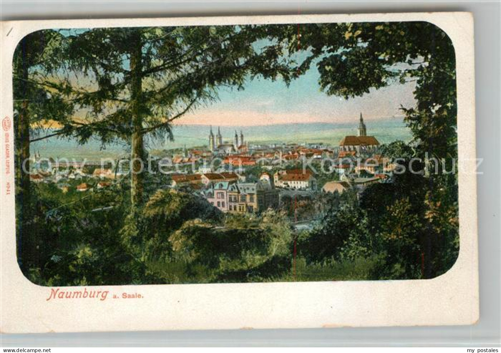 Naumburg Saale Panorama
