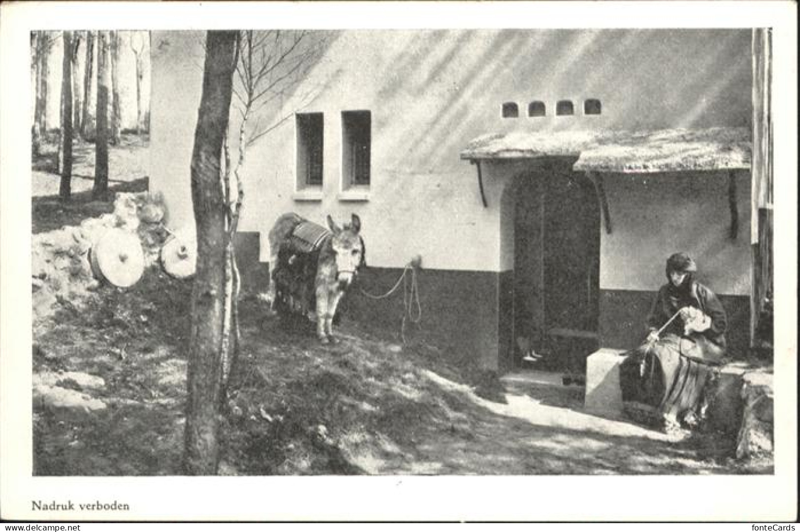 Nazareth Israel Nazareth Fellahwoning Maison Fellahine Fellahwohnung
