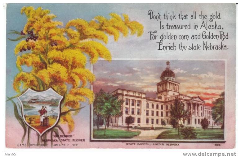 Nebraska State Capitol Building , State Flower goldenrod, Lincoln NE on c1910s Vintage  Postcard