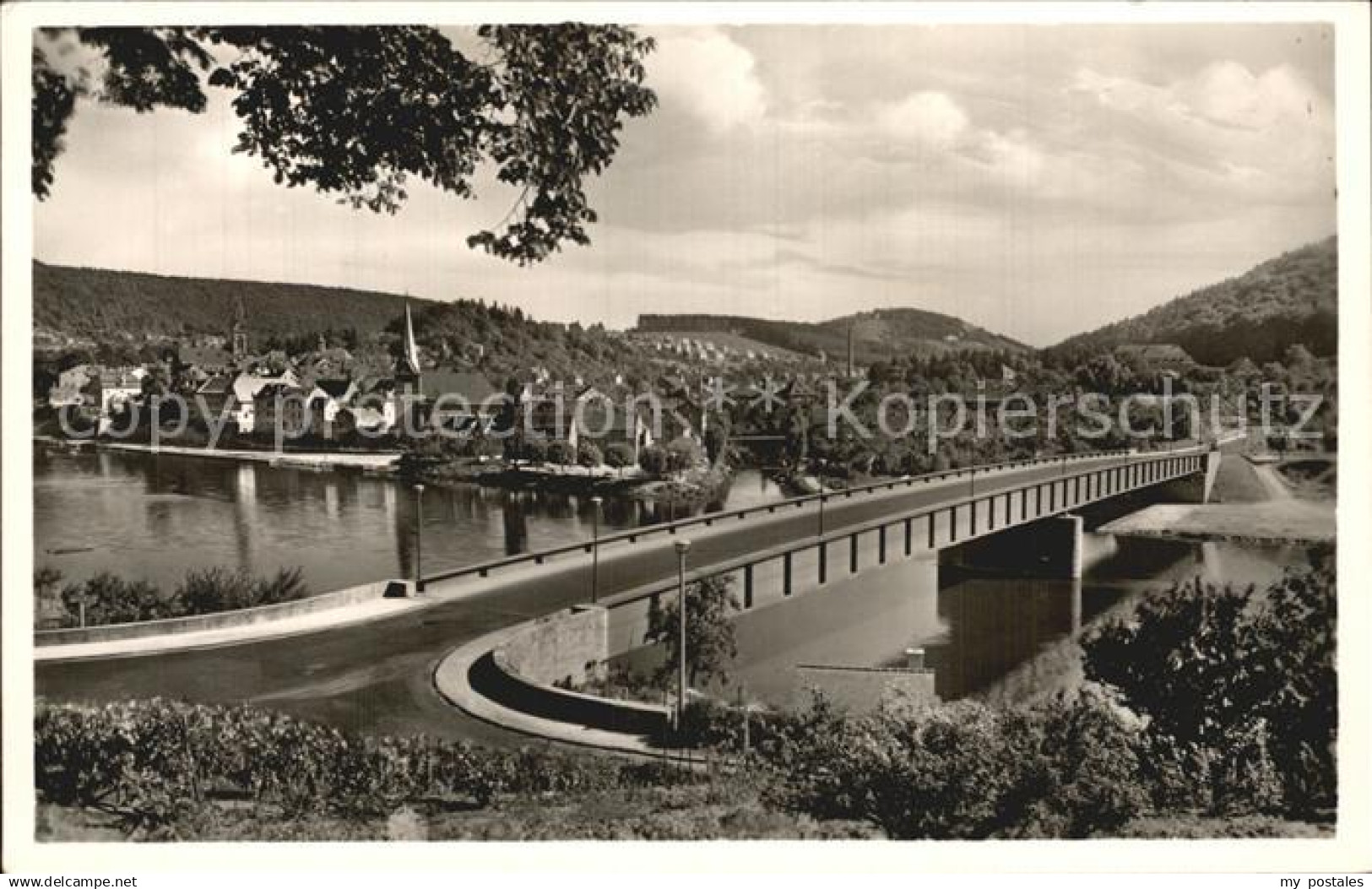 Neckargemuend Brueckenpartie
