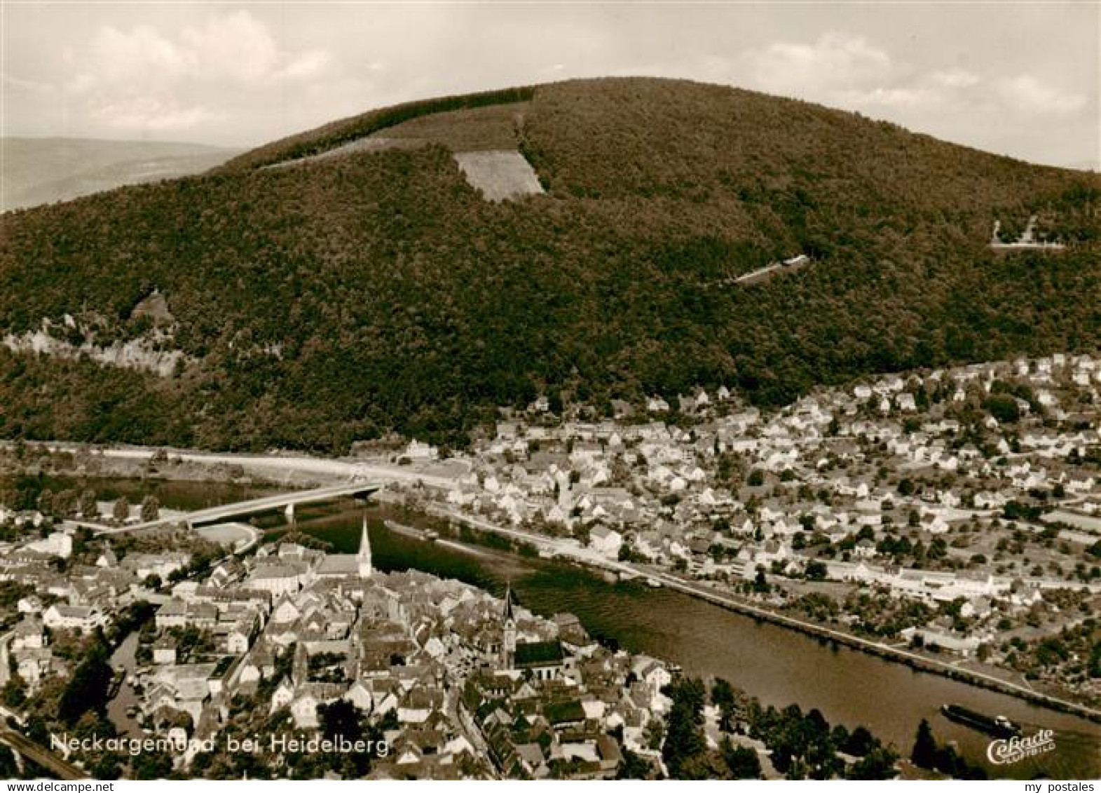 Neckargemuend Fliegeraufnahme