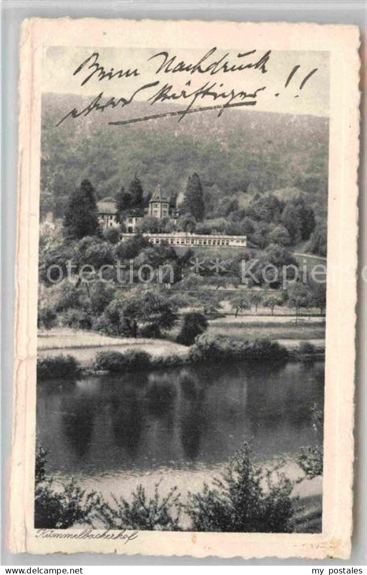 Neckargemuend Kuemmelbacherhof